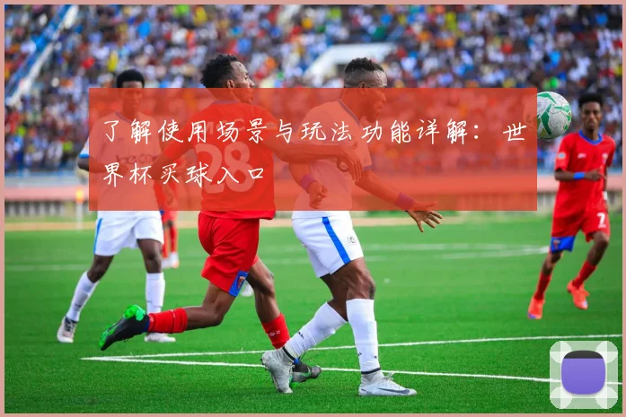了解使用场景与玩法功能详解：世界杯买球入口